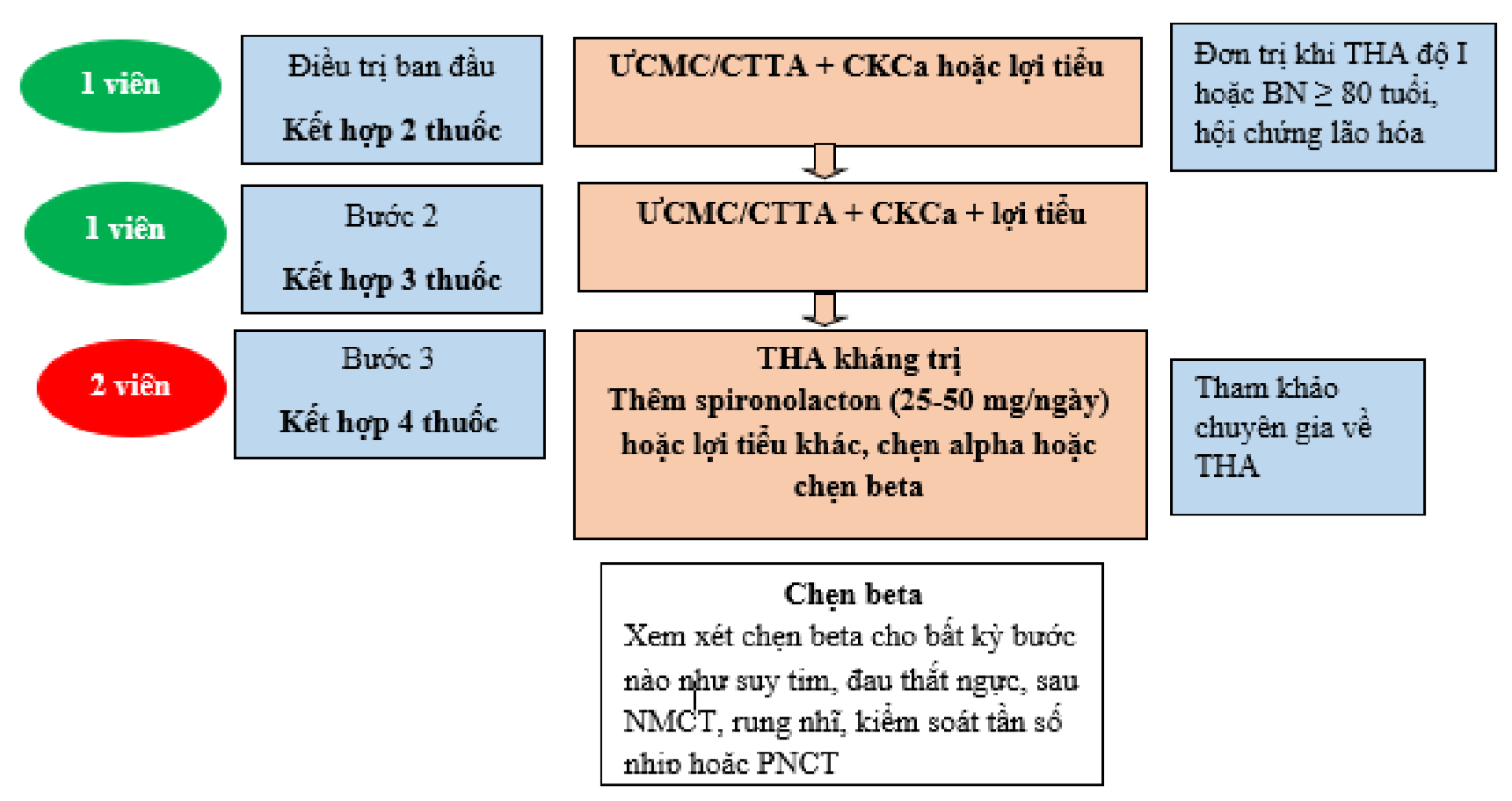 CTTA Là Thuốc Gì? Tìm Hiểu Tất Cả Về Công Dụng, Tác Dụng Phụ Và Hướng Dẫn Sử Dụng