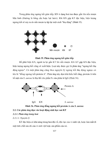 Phản Ứng Ngưng Kết Latex: Ứng Dụng Hiệu Quả Trong Chẩn Đoán Y Học